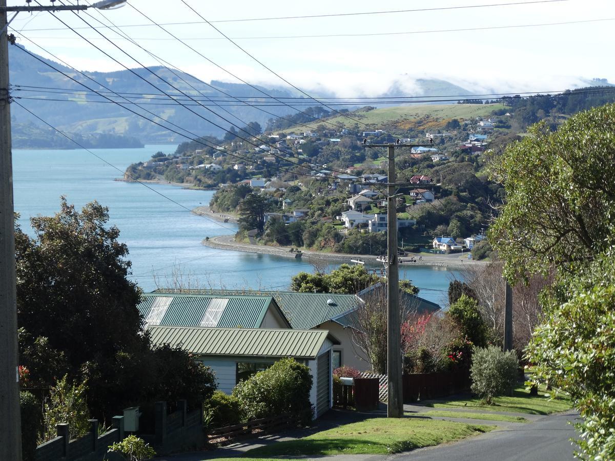 Piringa Bed and Breakfast Dunedin Exterior foto